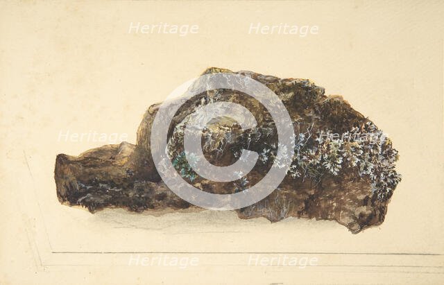 Study of a Rock, early 19th century. Creator: Anon.