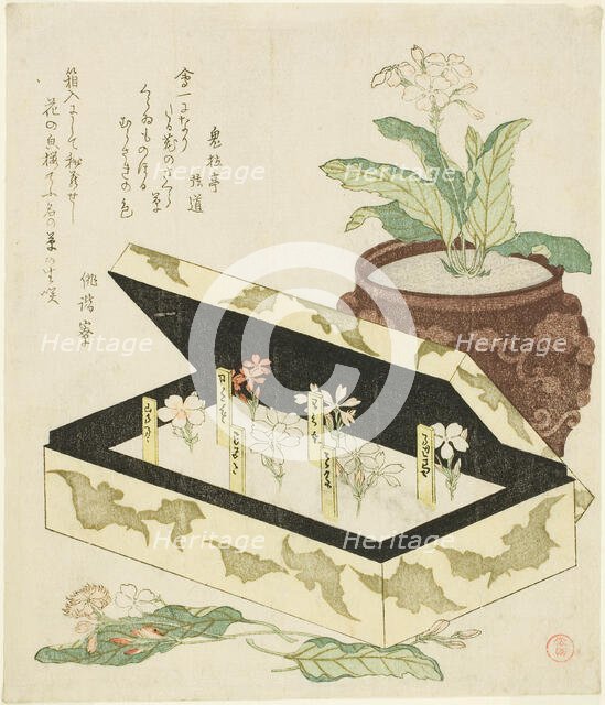 Primroses, Japan, c. 1810s. Creator: Kubo Shunman.