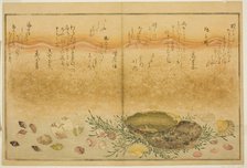 Chidori-gai, itaya-gai, awabi, utsuse-gai, asari-gai, and monoara-gai, from the illustrated...,1789. Creator: Kitagawa Utamaro.