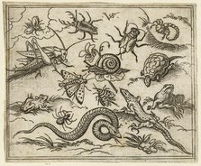 Group of insects and reptiles on plain ground with rocks, including an iguana, a lizard..., 1557.  Creator: Virgil Solis.