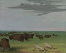 Buffalo Hunt under the Wolf-skin Mask, 1832-1833. Creator: George Catlin.