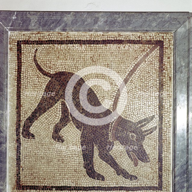 Roman mosaic of dog, Cave Canem, Pompeii, Italy. Creator: Unknown.
