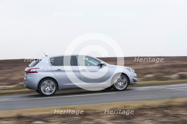 2014 Peugeot 308 THP 156 Feline Artist: Unknown.