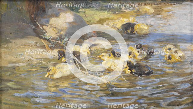 Ducks. Creator: Rudolf Schramm-Zittau.