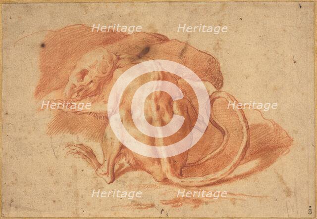 A Partially Skinned Rat, late 16th or early 17th century. Creator: Unknown.