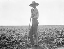 The long line of Texas, Near Dallas, 1936. Creator: Dorothea Lange.