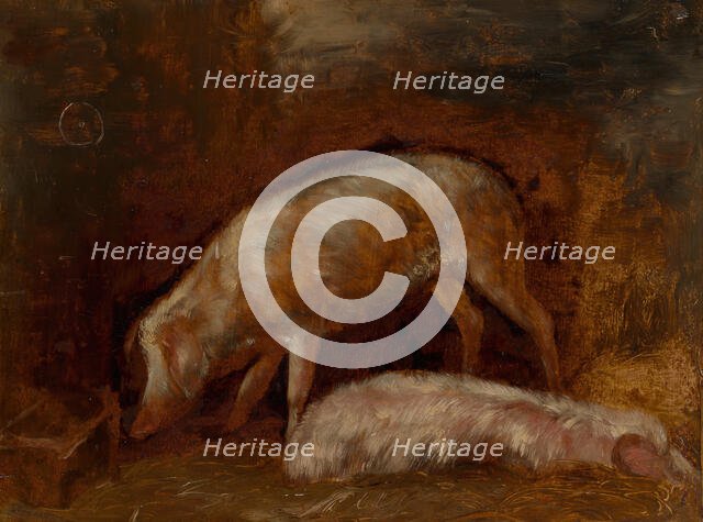 Study of Pigs, 1850/60. Creator: Alexandre Gabriel Decamps.