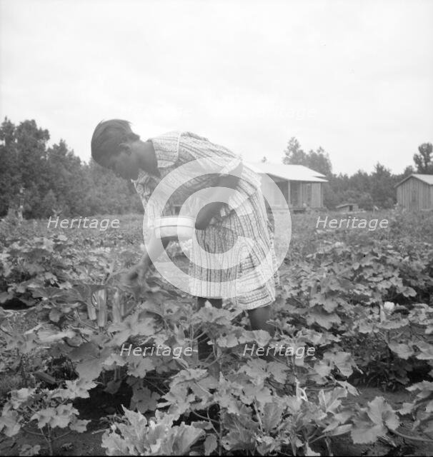 Family of one of the evicted sharecroppers...Mississippi, 1936. Creator: Dorothea Lange.