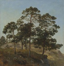 Study of Trees, 1843. Creator: Joachim Frich.