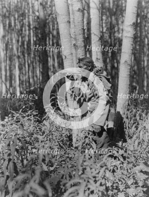 Calling a moose-Cree, c1927. Creator: Edward Sheriff Curtis.