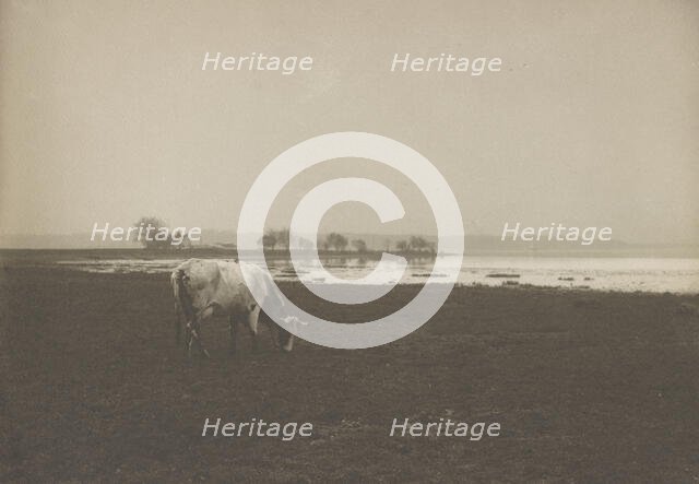 Potomac River from below Alexandria, Virginia, c1895. Creator: Frances Benjamin Johnston.