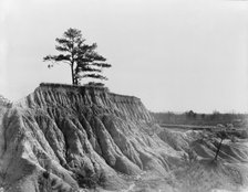 Erosion near Jackson, Mississippi, 1936. Creator: Walker Evans.