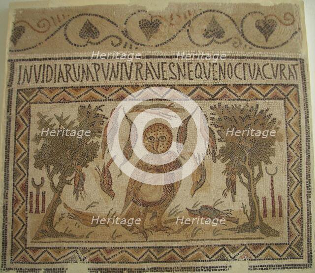 Mosaic, El Jem Museum, El Djem, Tunisia, 2009. Creator: Amanda Waite.