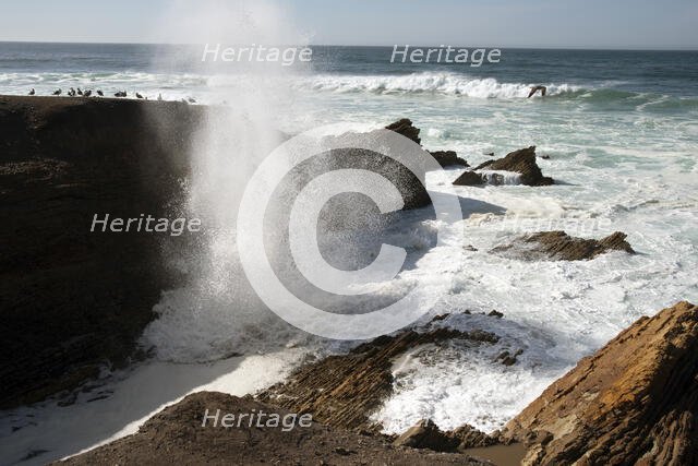Montana de Oro, San Luis Obispo, California, USA, 2022. Creator: Ethel Davies.