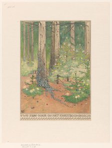 Forest with decorated and illuminated Christmas trees, 1898. Creator: Willem Wenckebach.