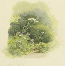 Garden scene in Michelstadt, 1875. Creator: Carl Theodor Reiffenstein.