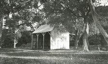 Opening of the tram service to The Spit, 1900. Creator: Unknown.