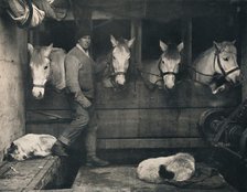 'Captain Oates, on the "Terra Nova" with the Siberian Ponies', c1911, (1914).  Creator: Herbert Ponting.