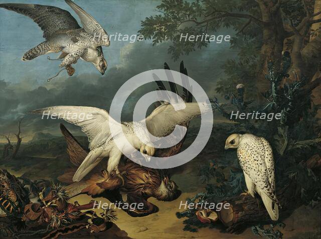 A red kite defeated by Icelandic falcons, c1745. Creator: Philipp Ferdinand de Hamilton.
