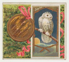 Snowy Owl, from the Birds of America series (N37) for Allen & Ginter Cigarettes, 1888. Creator: Allen & Ginter.