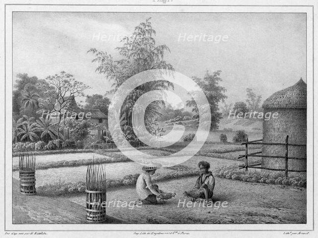 View of the Interior, Luzon Island, Philippines, 19th century. Creators: Friedrich Heinrich Kittlitz, Victor Adam, Godefroy Engelmann.