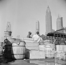Fish caught off the New England coast is packed in these barrels and boxes and..., New York, 1943. Creator: Gordon Parks.