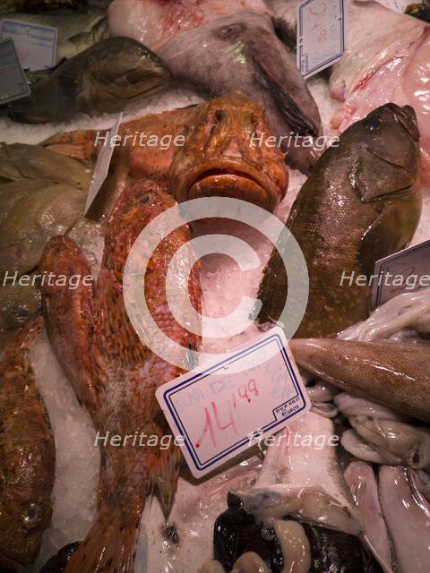 Fish at La Bouqueria, Barcelona, Spain, 2020. Creator: Ethel Davies.