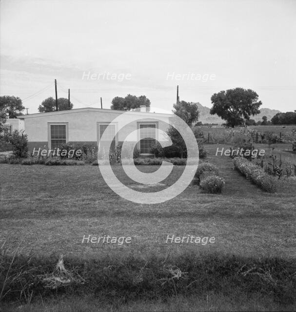 Baxter project, Farm Security Administration, near Baxter, Arizona, 1938. Creator: Dorothea Lange.