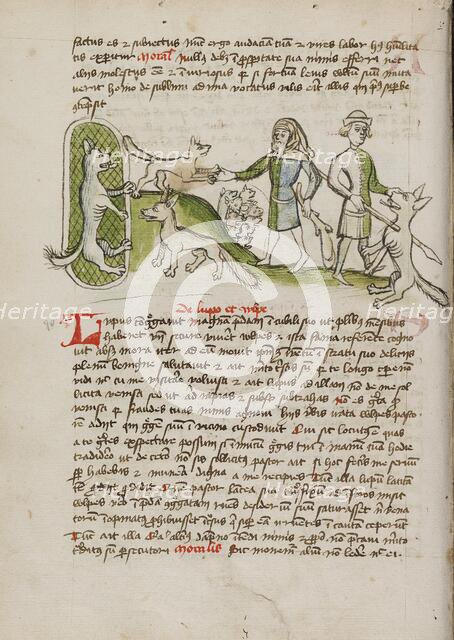 An Imprisoned Wolf and a Fox and Many Dogs Nearby: A Elderly..., third quarter of 15th century. Creator: Unknown.