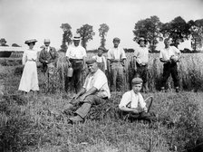 Harvest time, Cadsden, near Princes Risborough, Buckinghamshire, 1903.  Artist: Alfred Newton & Sons.
