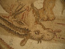 Mosaic, El Jem Museum, El Djem, Tunisia, 2009. Creator: Amanda Waite.