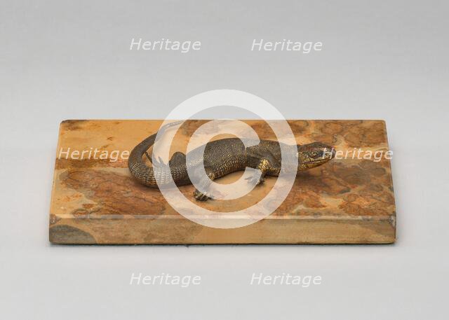 Life Cast of a Lizard, probably 19th century. Creator: Unknown.