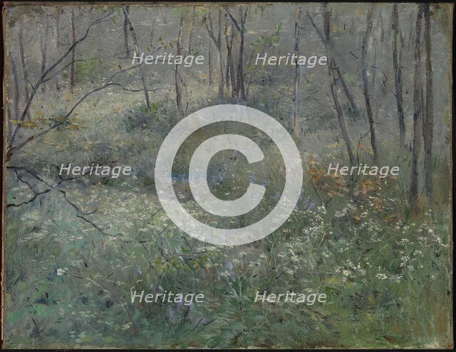 Wild Parsley, 1900. Creator: Sarah Paxton Ball Dodson.