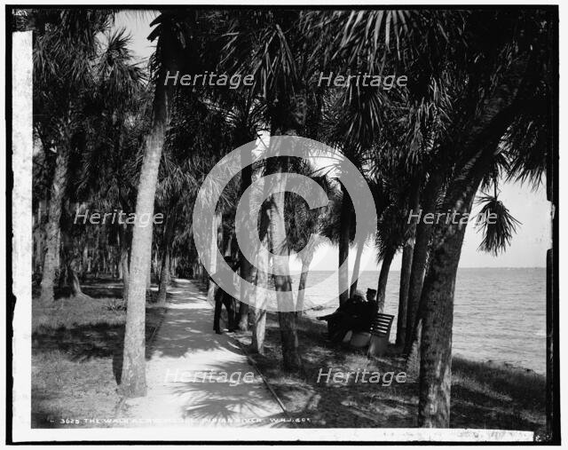 The walk at Rockledge, Indian River, between 1880 and 1897. Creator: William H. Jackson.