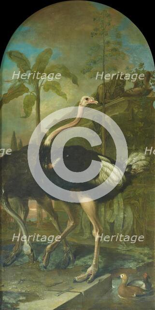 A pair of ostriches, a sarcophagus in the background, 1723. Creator: Ignaz Heinitz von Heinzenthal.