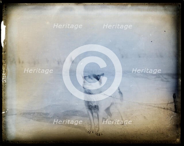 Northern Alaska Exploring Expedition, 1884-1886. Creator: Unknown.