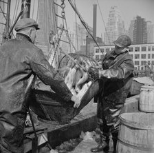 Possibly: Filling a barrel with codfish at the Fulton fish market, New York, 1943. Creator: Gordon Parks.
