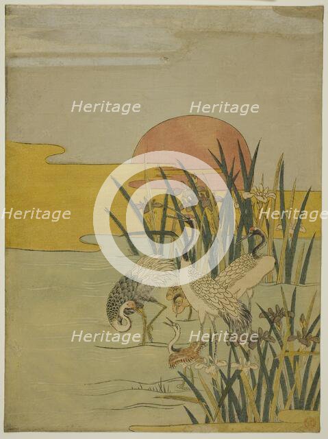 Cranes in an Iris Pond at Sunrise, c. 1774. Creator: Isoda Koryusai.