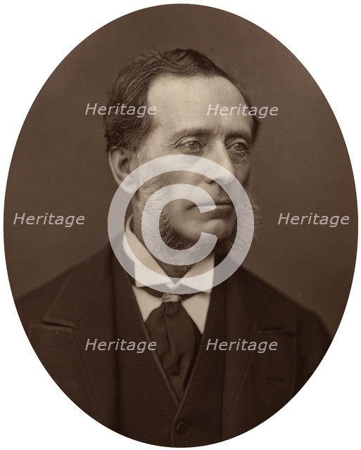 Sir Francis Leopold McClintock, admiral, 1878.Artist: Lock & Whitfield