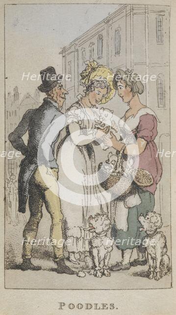 'Poodles'', 1820. Creator: Thomas Rowlandson.