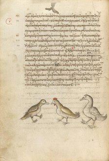 A Duck, a Rooster, and a Goose; Miscellany: Physiologus: other texts, 1510-1520. Creator: Unknown.