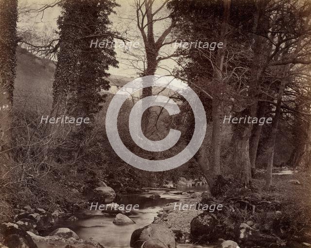 Untitled, c. 1859. Creator: John Lloyd (British, 1865).