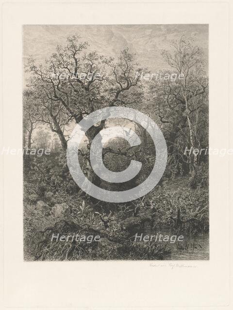 Autumn, 1871. Creator: Eduard Willmann.