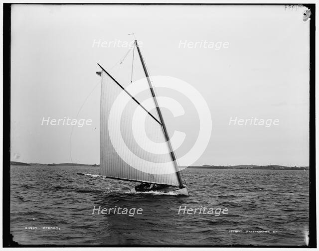 Rocket, between 1880 and 1899. Creator: Unknown.