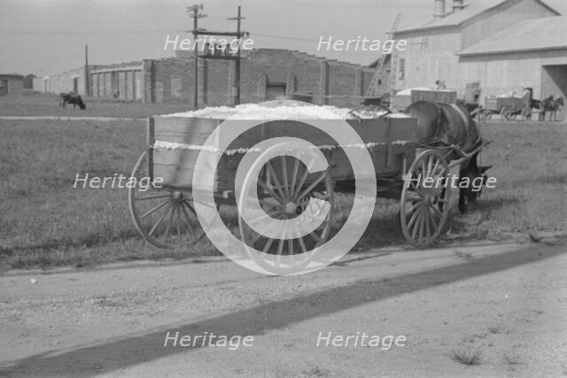 Wagonload of cotton near the gin. Vicinity of Moundville, Alabama, 1936. Creator: Walker Evans.