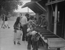 Plant quarantine inspectors examining packages, Texas, 1937. Creator: Dorothea Lange.