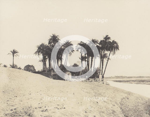 Louksor, Dattiers et Jardin de l'Expédition du Louksor, 1851-52, printed 1853-54. Creator: Félix Teynard.