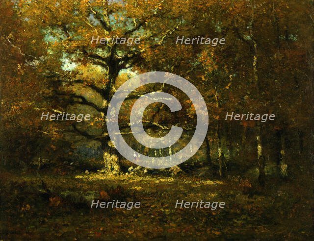 Connecticut Woods, 1899. Creator: Henry Ward Ranger.