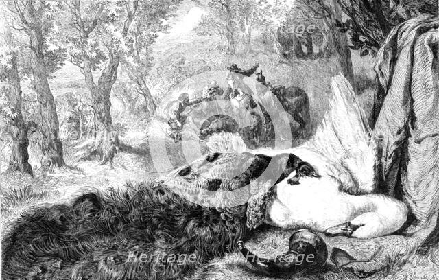 "Dead Swan and Peacock", by the late W. Duffield, 1864. Creator: W Thomas.