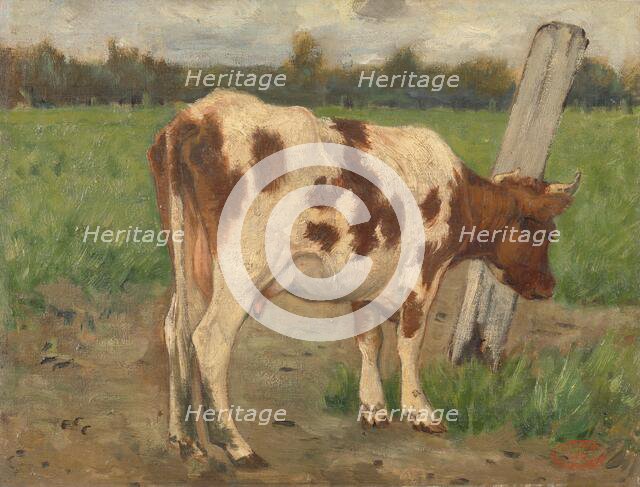 Cow, c.1873-c.1903. Creator: George Poggenbeek.